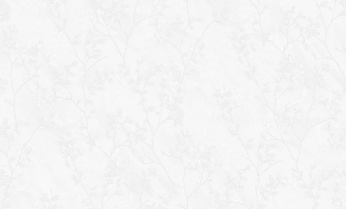 WCS-DJ601301